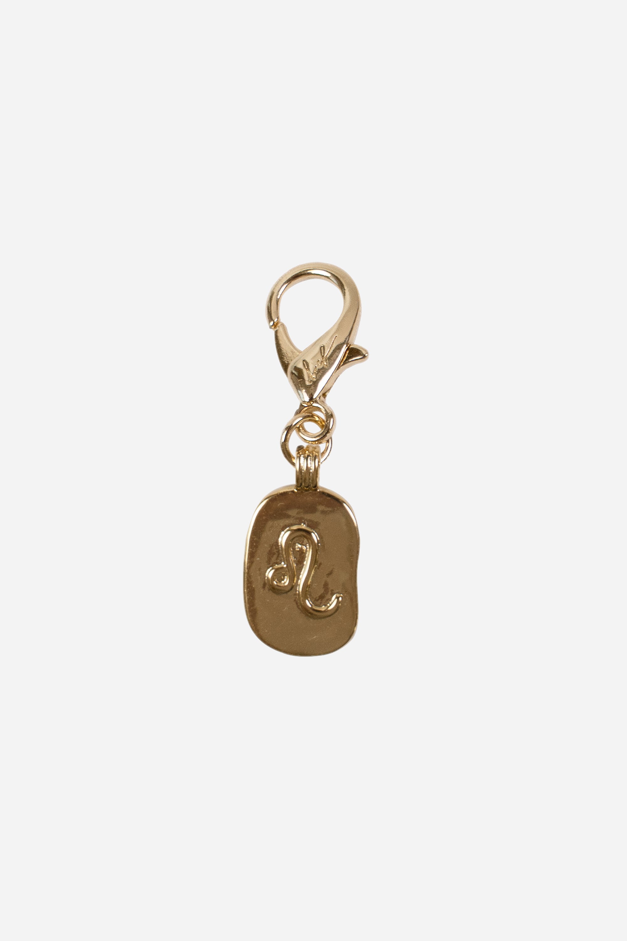 Charms Lion Dore