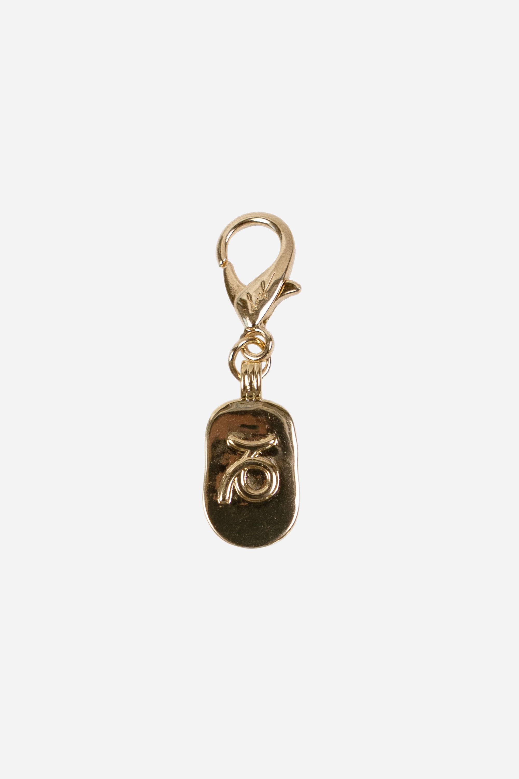 Charms Capricorne Dore