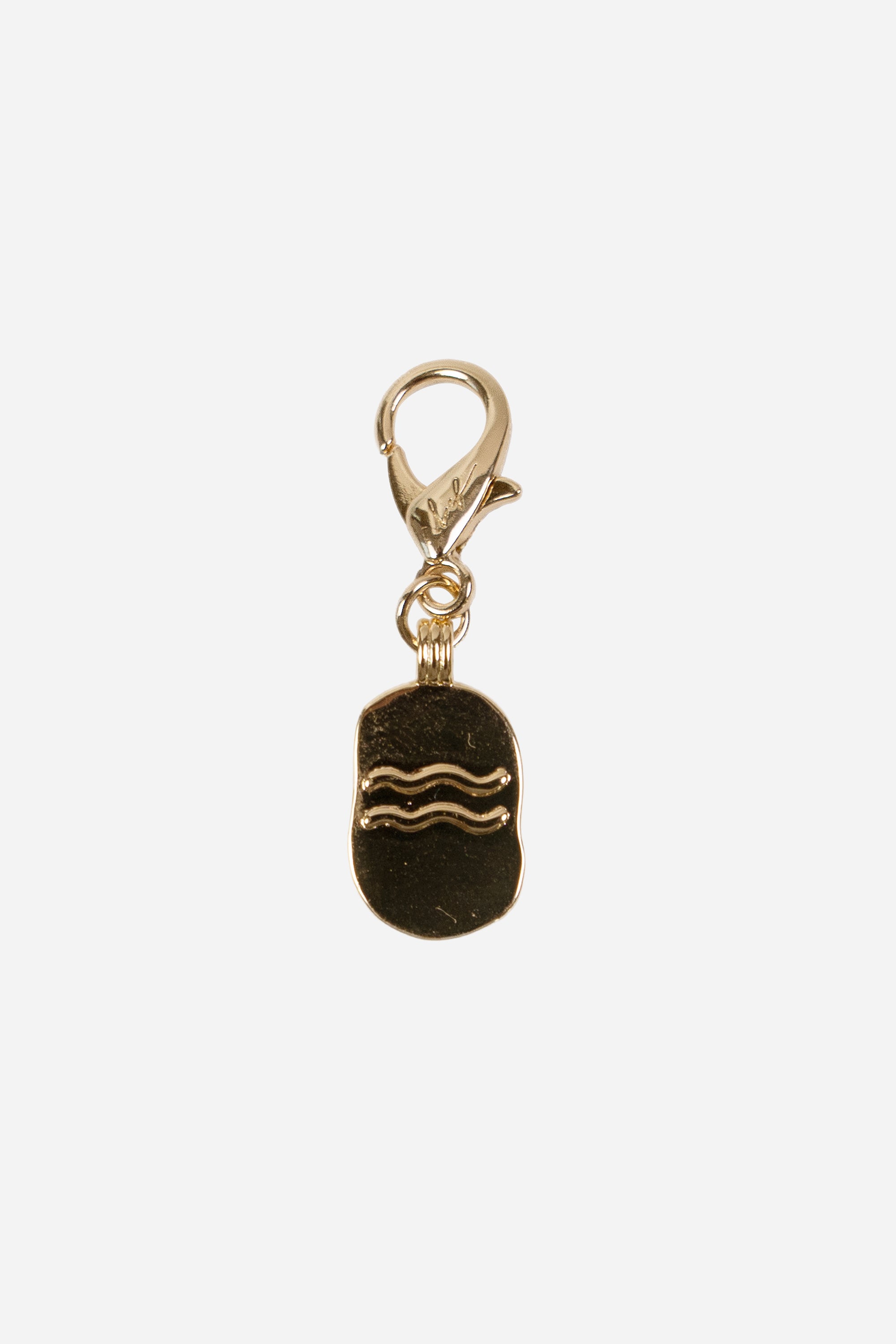 Charms Verseau Dore