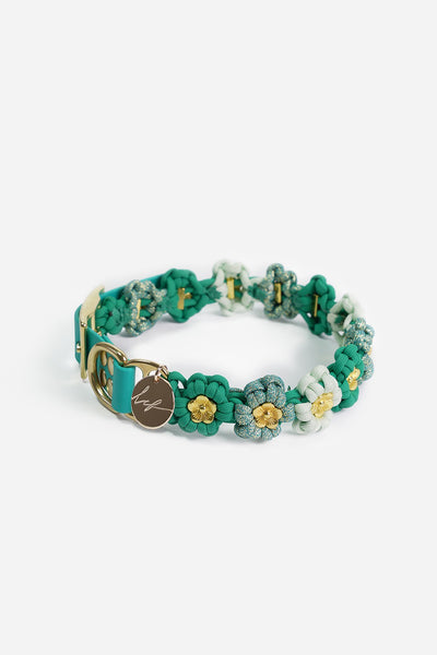 Laika green dog collar - S