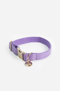 Naya purple dog collar - S