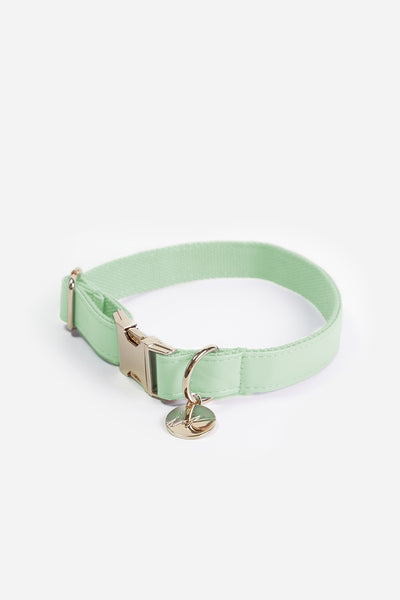 Naya green dog collar - M