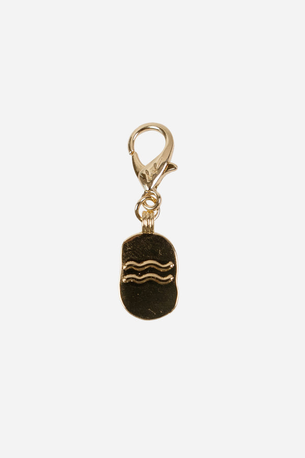 Charms Verseau Dore