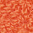 Coral Heart Patch
